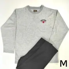 Item thumbnail for item d8910ee9-98db-41a7-ad50-c92191596952