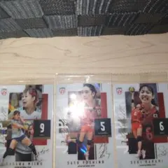 バレーボール日本代表 トレーディングカード 3장 세트