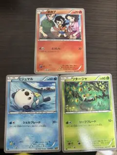 포켓몬 カード ポカブ ミジュマル ツタージャ 御三家セット EBB