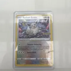 ポケモンカード Radiant Eevee SWSH230 かがやくイーブイ