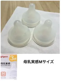 Item thumbnail for item fc593075-281b-4b71-bc73-20ce89f8be35