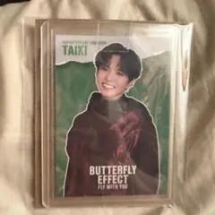 タイキ タレントカード