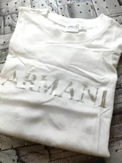 アルマーニ コレツィオーニ Armani 希少 メタリックロゴ Tシャツ XLのサムネイル