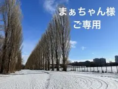 まぁちゃん様ご専用　特大紙袋タイプバッグ　ハンドメイド キャスキッドソン