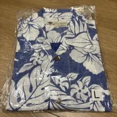 Item thumbnail for item f8969fec-ab93-41c0-b56c-f8c80ebfaeeb