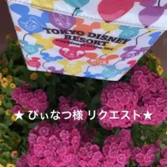 ぴぃなつ様 リクエスト 3点 まとめ商品