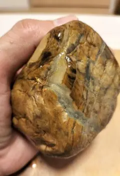 2026年最新】珪化木メノウ化の人気アイテム - メルカリ