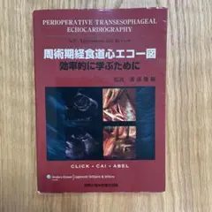 裁断済　周術期経食道心エコー図 : 効率的に学ぶために 周術期経食道心エコー図｜真興交易株式会社