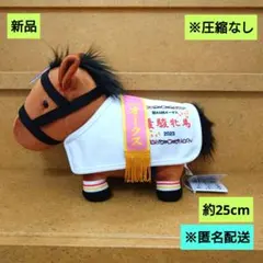 2025年最新】リバティアイランドの人気アイテム - メルカリ