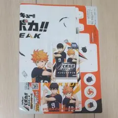 ハイキュー!! ファンパーク 来場者記念品 バボカ BREAK