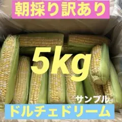 ７月15日朝採りします　訳ありとうもろこしドルチェドリーム約5kgのサムネイル