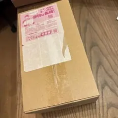 ポケセン産　未開封 ポケモンセンターヒロシマ スペシャルBOX シュリンク有り