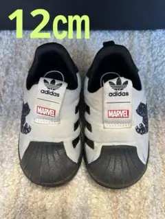 Item thumbnail for item b992bc41-895e-4dd6-8102-bbcd3642bdf5