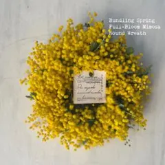 ひなた様 リクエスト 2点 まとめ商品