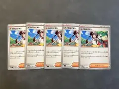 ポケモンカード メイのはげまし