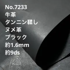 Item thumbnail for item fdaca884-50d9-4149-90a5-54806e7a3d2d