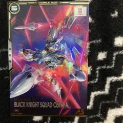 アーセナルベース　ブラックナイトスコード　カルラ　ブースターパック　トライエイジ