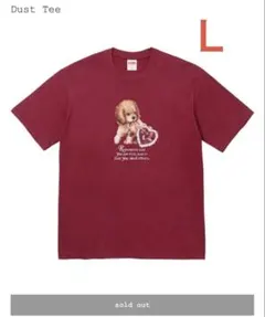 Supreme Dust Tee 