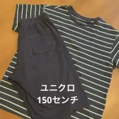 ユニクロ　エアリズム　コットンセット　150センチ