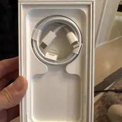 USB-C to Lightningケーブル 1m iPhone SE 3用