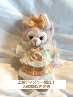 2025年最新】上海ディズニー リーナベル クリスマスの人気アイテム