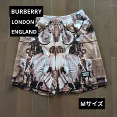♦️BURBERRY バーバリー♦️アートプリント ショートパンツM　試着のみのサムネイル