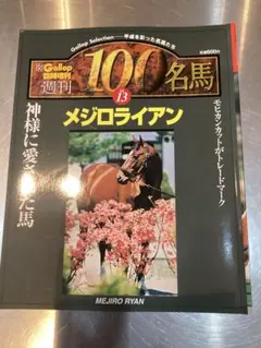 極稀少 週刊100名馬 Vol.22 メジロマックイーン Gallop臨時増刊 - メルカリ