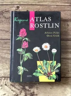 Item thumbnail for item 022cc519-15ce-4e6b-b52a-17ff11d94790