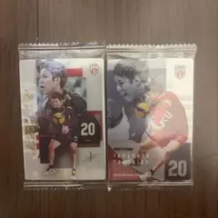 バレーボール男子日本代表 龍神NIPPON ツインウエハース 山本智大 N.R