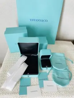 極美品 現行品 ティファニー 限定品 リングケース 空箱 T&Co. ロゴ