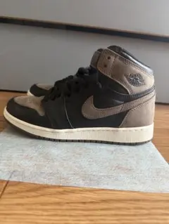 Nike Air Jordan1 Retro High OG Palomino