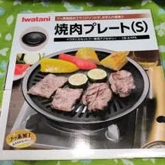 Item thumbnail for item 5f9076d7-2860-4e49-9d62-22d608c8e2bb