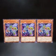 Item thumbnail for item d4e8b3bd-73fc-4e9a-acd0-8fc4972f1b48