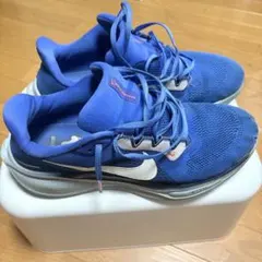ナイキペガサス41 28.0cmのサムネイル