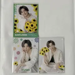 勇征 シクレ 八木勇征 FANTASTICS SUNFLOWER フォトカ