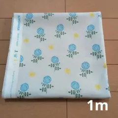 Item thumbnail for item 0063c41b-2d5d-482e-bea6-bb882d08a574