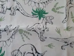 生地・恐竜・白