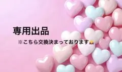 専用出品
