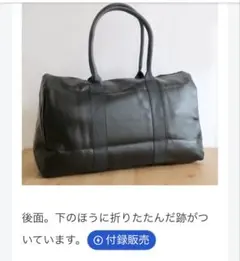 Item thumbnail for item 46d68e9a-c90f-4982-9b3f-cf1bf086e511