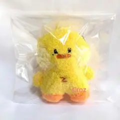 zeroni アイドル