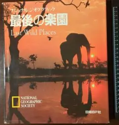 Item thumbnail for item 389a78bc-1497-4427-8fb4-cdc575838430