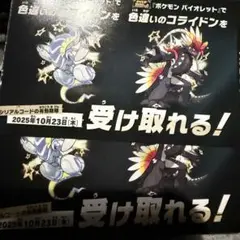 ポケモン バイオレット 色違いコライドン特典