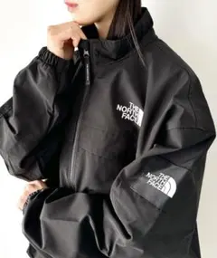 国内未発売 THE NORTH FACEブルゾンのサムネイル