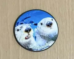 鳥羽水族館 ラッコ メイ キラ お誕生日 アクリルキーホルダー 2個