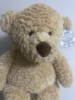 くま　ぬいぐるみ　コストコ