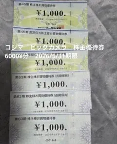 ビッグカメラ　コジマ　株主優待券1000¥ 6枚セット