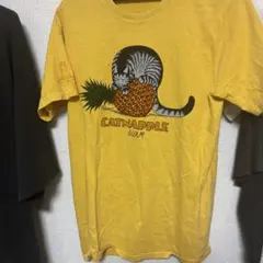 クレイジーシャツ　CATNAPPLE GUAM Tシャツ Sサイズ