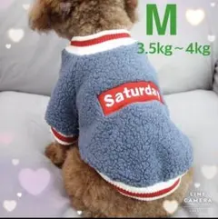 ラスト1点！【ドッグウェア ブルー ロゴ入り M】