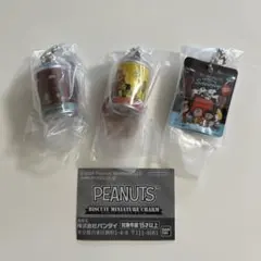 ピーナッツ　スヌーピー　ビスケットミニチュアチャーム