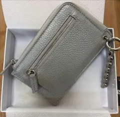 フラグメントケース イアパピヨネ